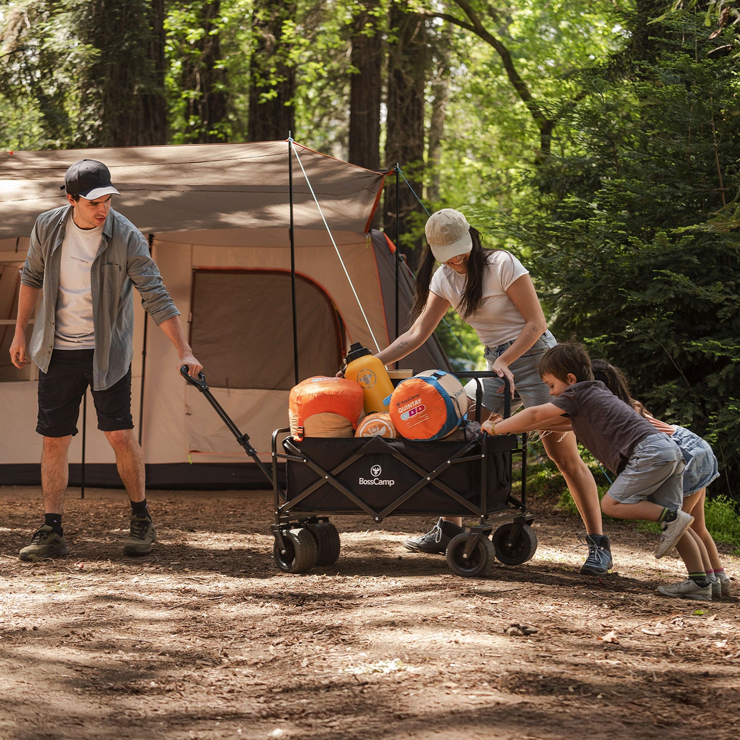 Carro Transporte Plegable Quintay