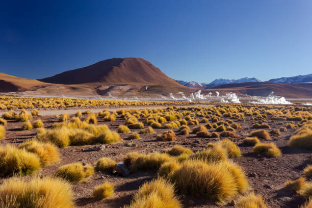 Dónde acampar en el norte de Chile: 6 campings recomendados