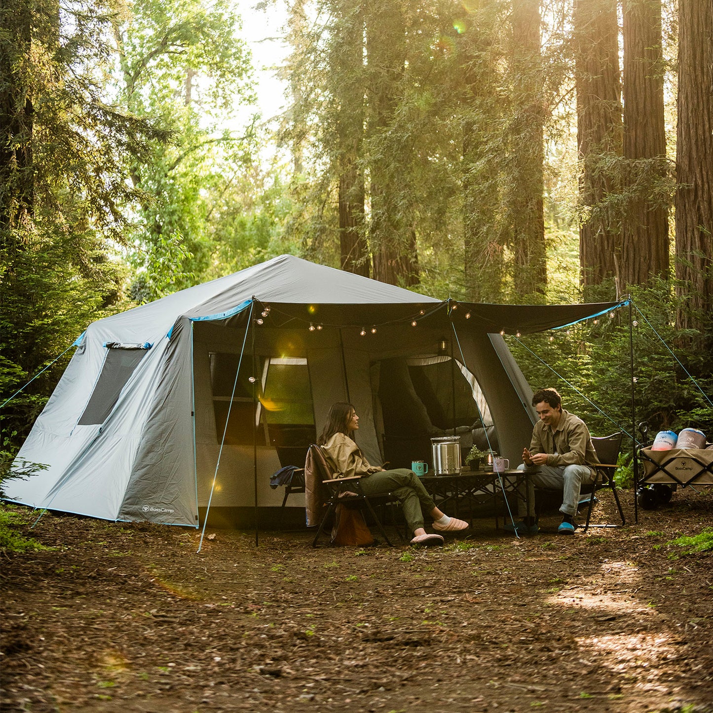 Carpa Camping Quintay 10 Personas Instant Black & Fresh 3000 Mm Cubre Techo Largo